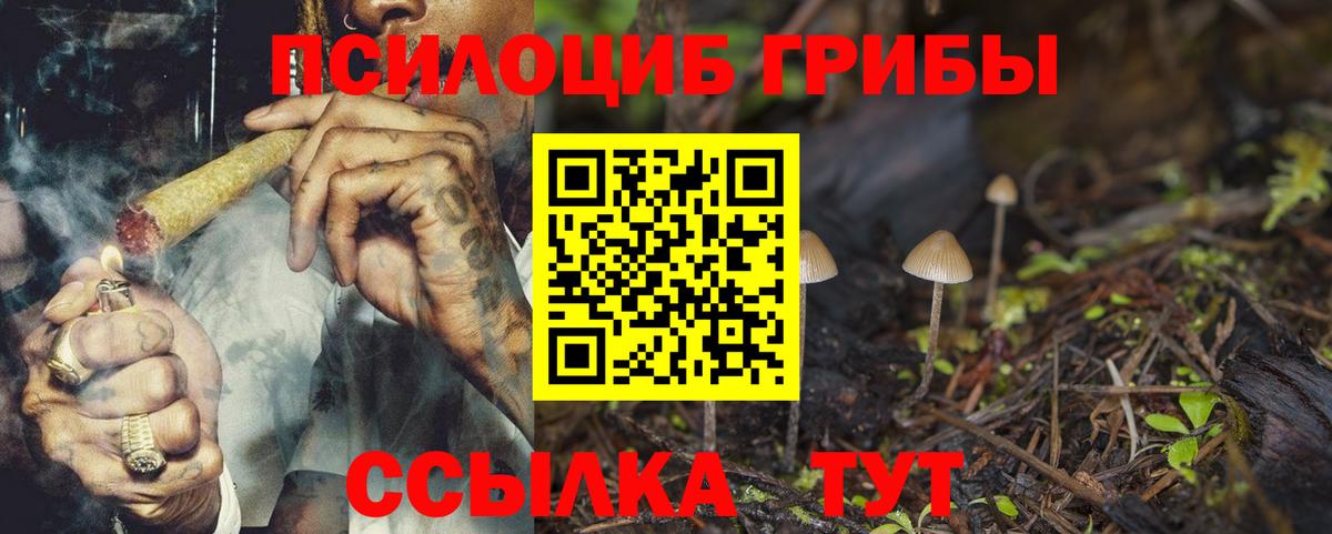 Галлюциногенные грибы GOLDEN TEACHER Бирск